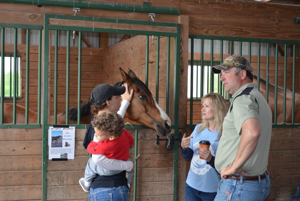 Stables